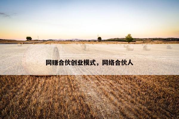 网赚合伙创业模式，网络合伙人