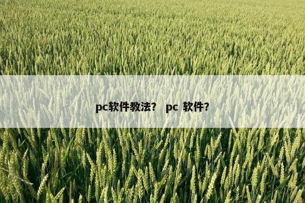 pc软件教法？ pc 软件？