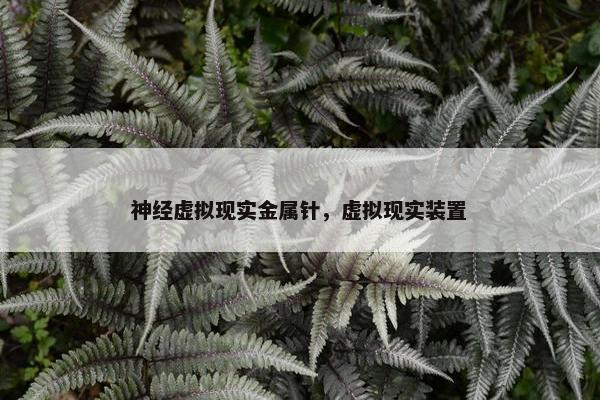 神经虚拟现实金属针，虚拟现实装置
