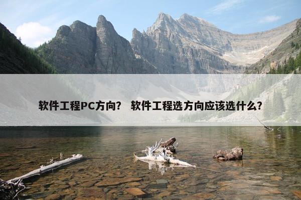 软件工程PC方向？ 软件工程选方向应该选什么？