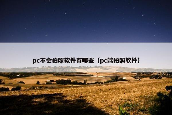 pc不会拍照软件有哪些（pc端拍照软件）