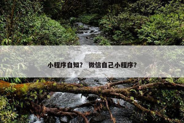 小程序自知？ 微信自己小程序？