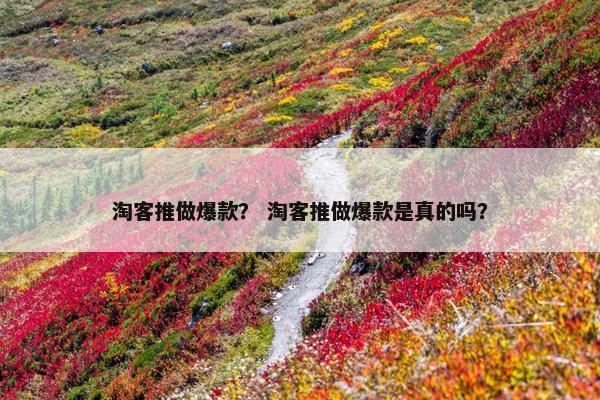 淘客推做爆款？ 淘客推做爆款是真的吗？