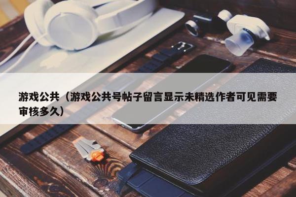 游戏公共（游戏公共号帖子留言显示未精选作者可见需要审核多久）