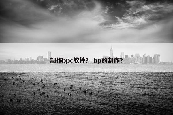 制作bpc软件? bp的制作? 制作bpc软件? bp的制作?