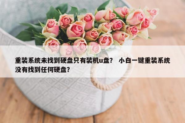 重装系统未找到硬盘只有装机u盘？ 小白一键重装系统没有找到任何硬盘？
