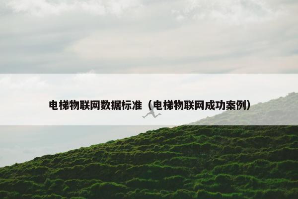 电梯物联网数据标准（电梯物联网成功案例）