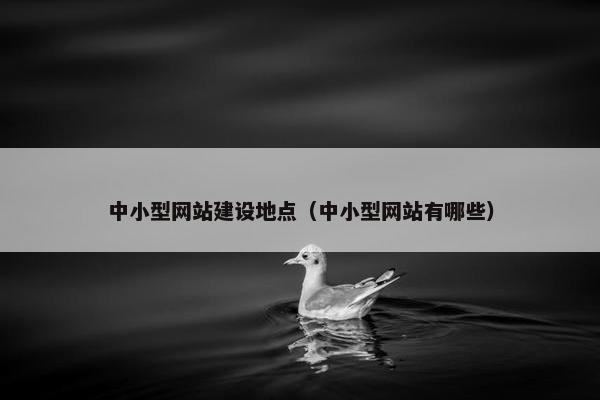 中小型网站建设地点（中小型网站有哪些）