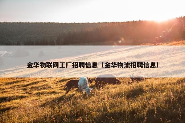 金华物联网工厂招聘信息（金华物流招聘信息）