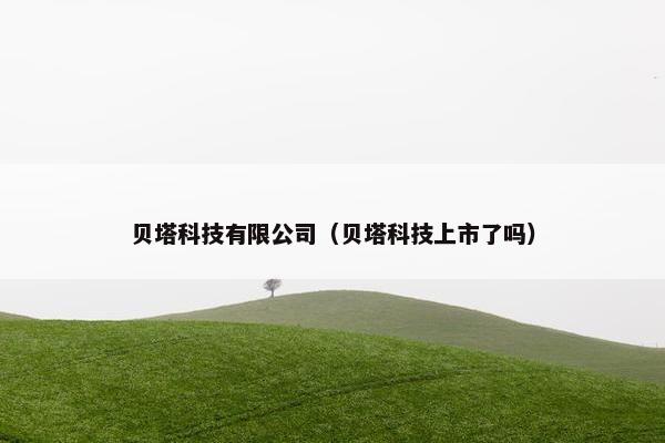 贝塔科技有限公司（贝塔科技上市了吗）