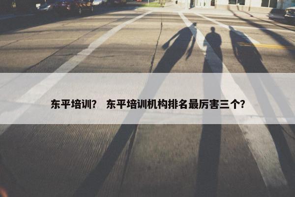 东平培训？ 东平培训机构排名最厉害三个？