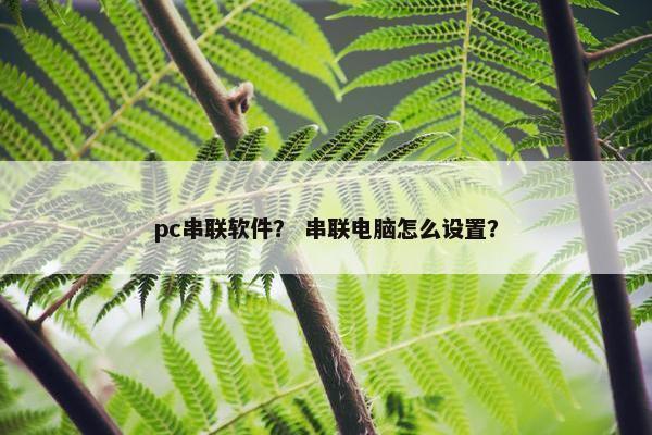 pc串联软件？ 串联电脑怎么设置？