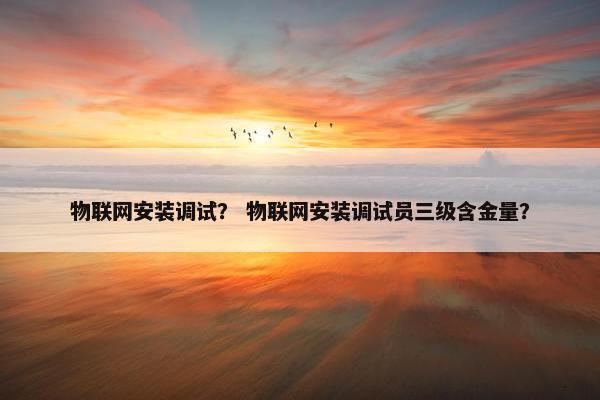 物联网安装调试？ 物联网安装调试员三级含金量？