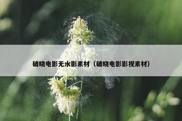 破晓电影无水影素材（破晓电影影视素材）