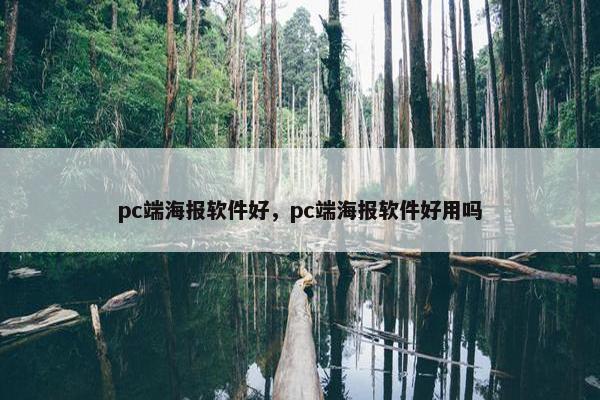 pc端海报软件好，pc端海报软件好用吗