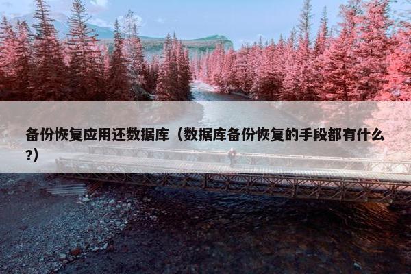 备份恢复应用还数据库（数据库备份恢复的手段都有什么?）