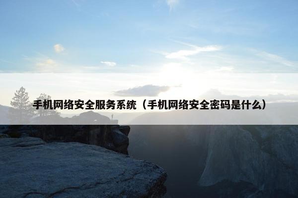 手机网络安全服务系统（手机网络安全密码是什么）