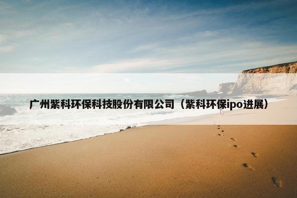 广州紫科环保科技股份有限公司（紫科环保ipo进展）