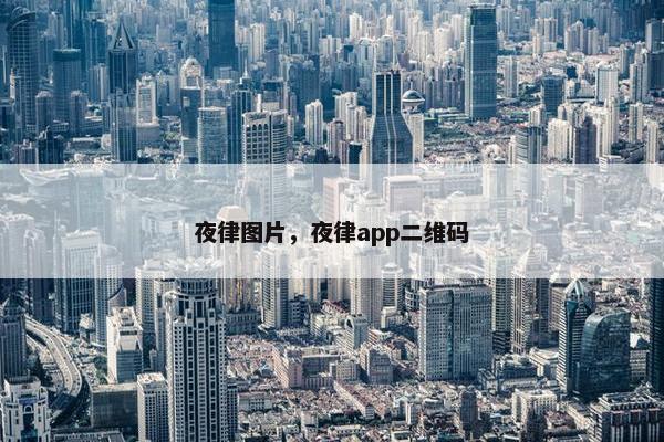 夜律图片,夜律app二维码 夜律图片,夜律app二维码