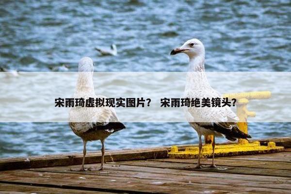 宋雨琦虚拟现实图片？ 宋雨琦绝美镜头？