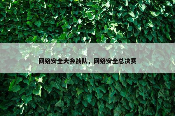 网络安全大会战队，网络安全总决赛