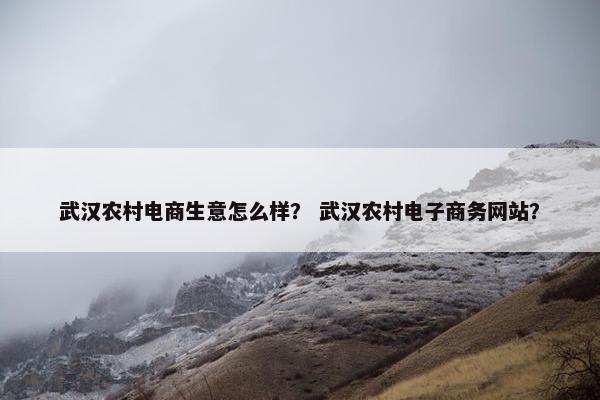 武汉农村电商生意怎么样？ 武汉农村电子商务网站？