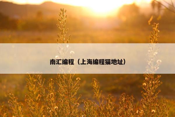 南汇编程（上海编程猫地址）
