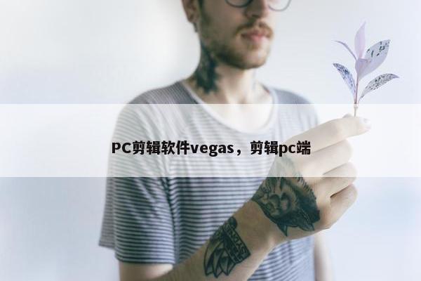 PC剪辑软件vegas,剪辑pc端 PC剪辑软件vegas,剪辑pc端