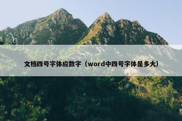 文档四号字体应数字（word中四号字体是多大）