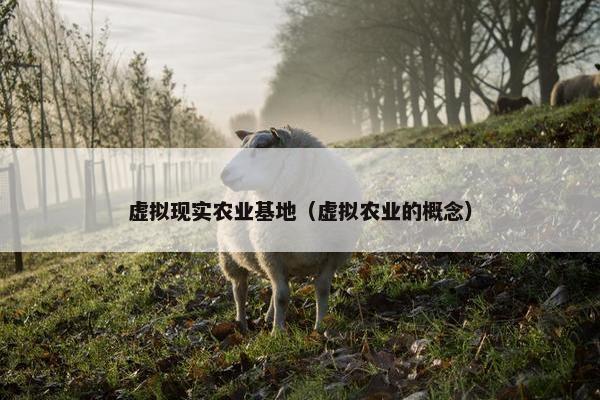虚拟现实农业基地（虚拟农业的概念）