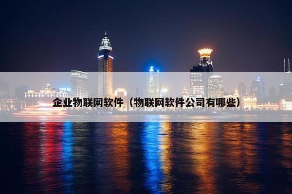 企业物联网软件（物联网软件公司有哪些）