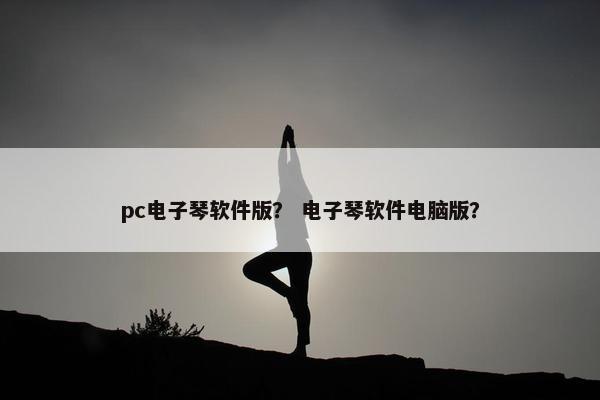 pc电子琴软件版？ 电子琴软件电脑版？