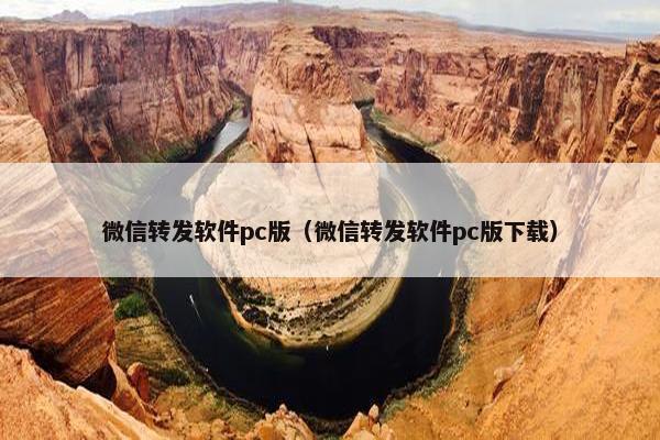 微信转发软件pc版（微信转发软件pc版下载）