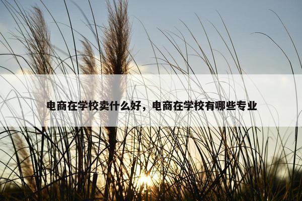 电商在学校卖什么好，电商在学校有哪些专业