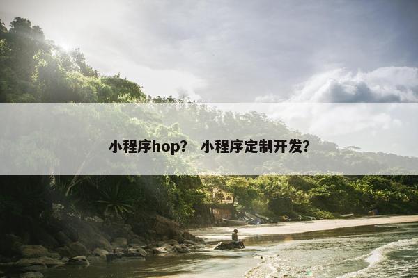 小程序hop？ 小程序定制开发？