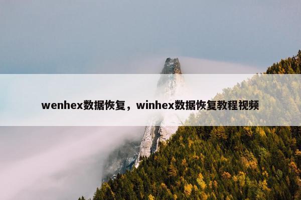 wenhex数据恢复，winhex数据恢复教程视频