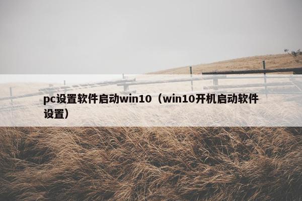 pc设置软件启动win10（win10开机启动软件设置）
