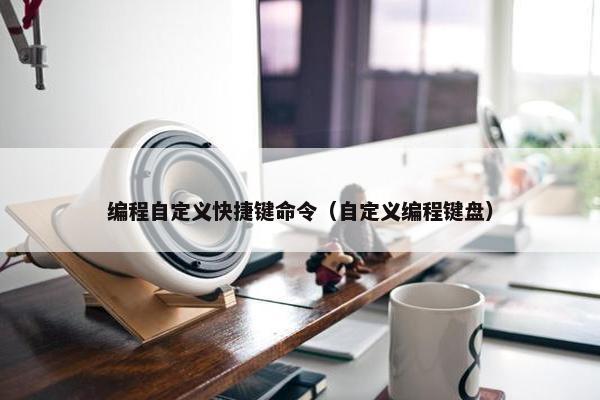 编程自定义快捷键命令（自定义编程键盘）