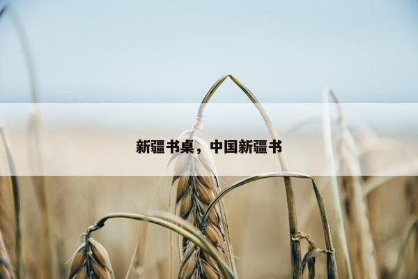 新疆书桌，中国新疆书