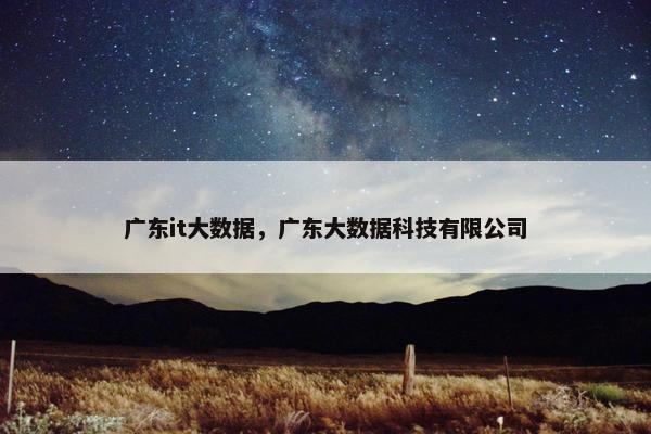 广东it大数据，广东大数据科技有限公司