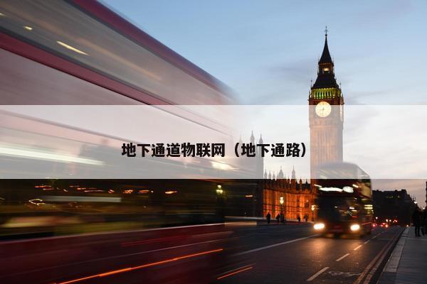 地下通道物联网(地下通路) 地下通道物联网(地下通路)