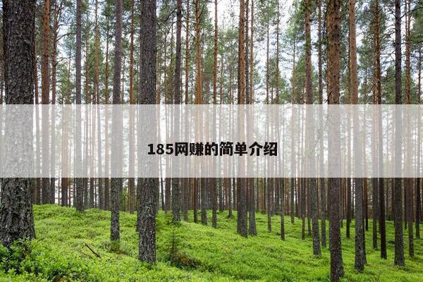 185网赚的简单介绍 185网赚的简单介绍