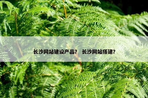 长沙网站建设产品？ 长沙网站搭建？