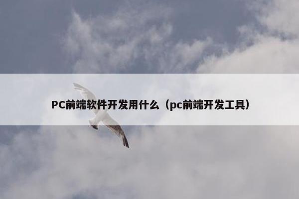 PC前端软件开发用什么（pc前端开发工具）