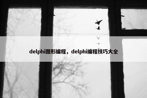 delphi图形编程，delphi编程技巧大全