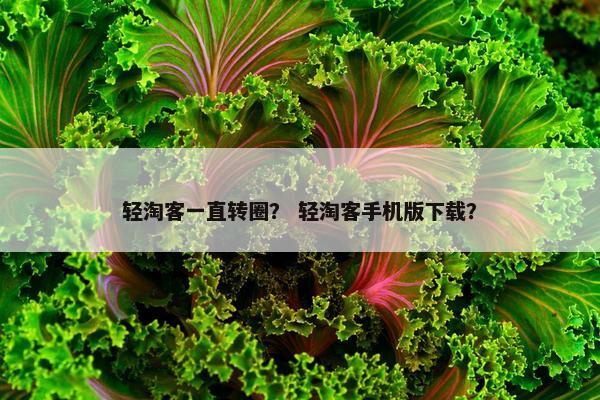 轻淘客一直转圈? 轻淘客手机版下载? 轻淘客一直转圈? 轻淘客手机版下载?