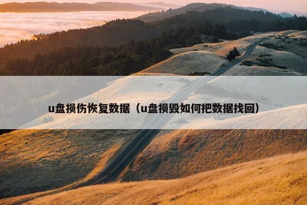 u盘损伤恢复数据（u盘损毁如何把数据找回）