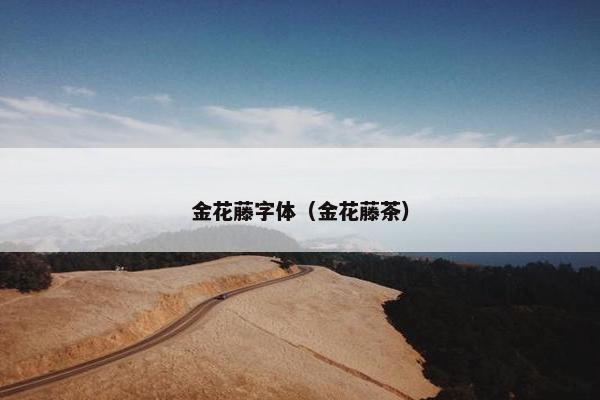 金花藤字体（金花藤茶）