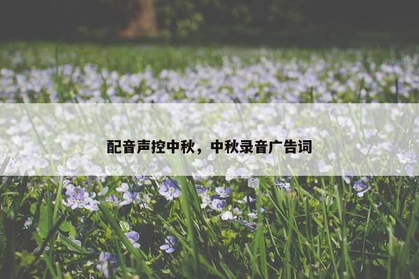 配音声控中秋，中秋录音广告词
