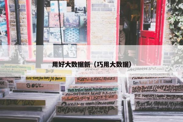 用好大数据新（巧用大数据）